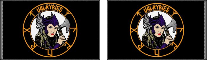 Valkyrie Double Sided Flag